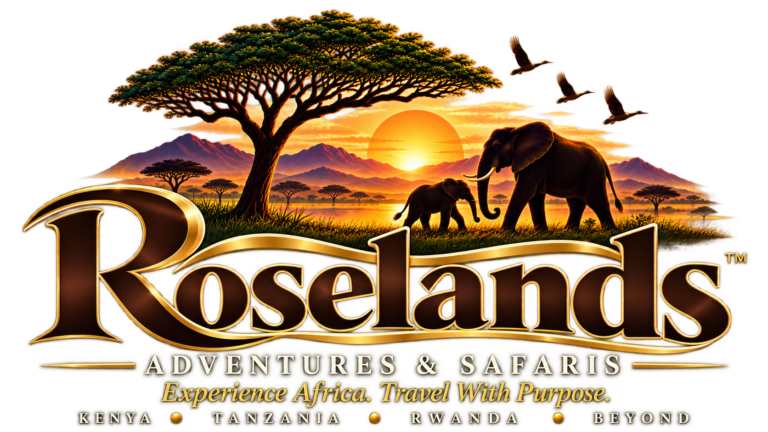 Roselands Adventures & Safaris